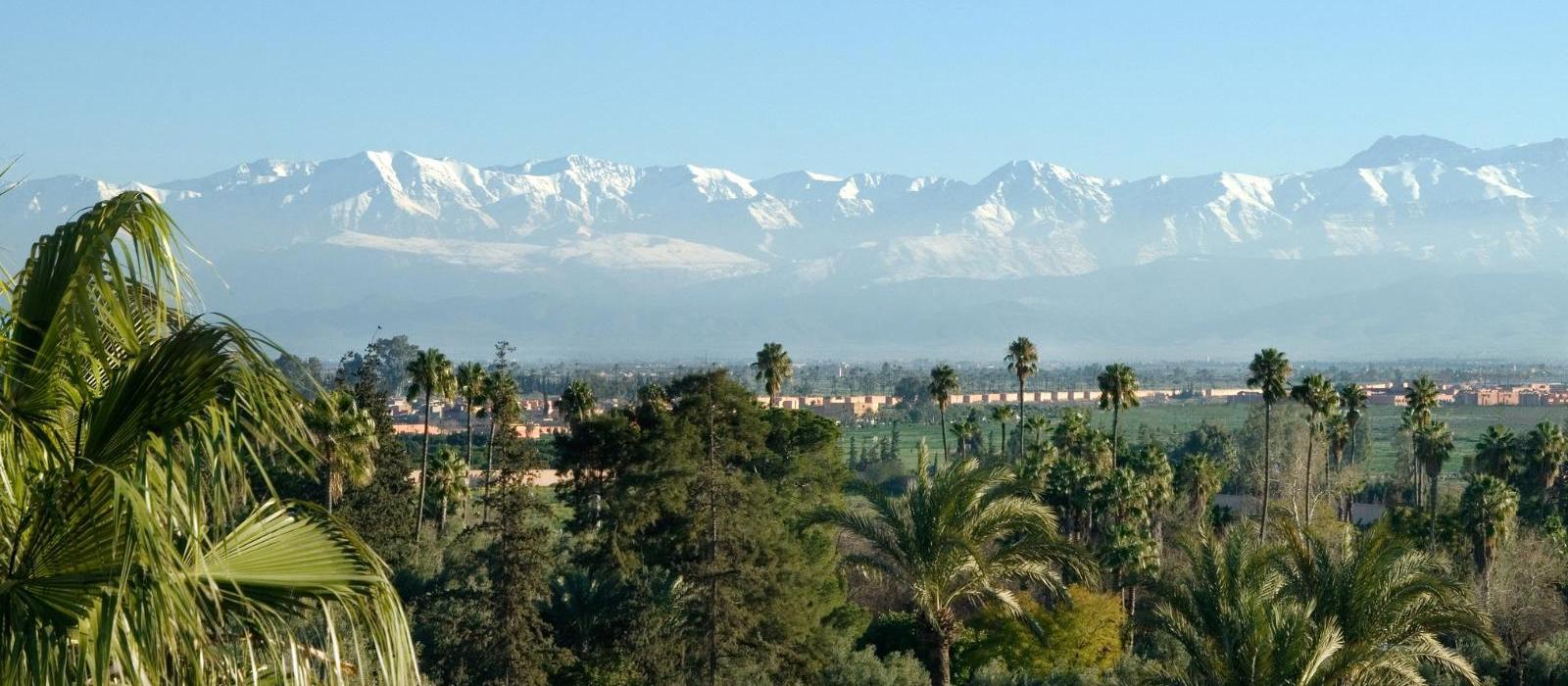 拉玛穆尼亚酒店(La Mamounia) 图片  www.lhw.cn