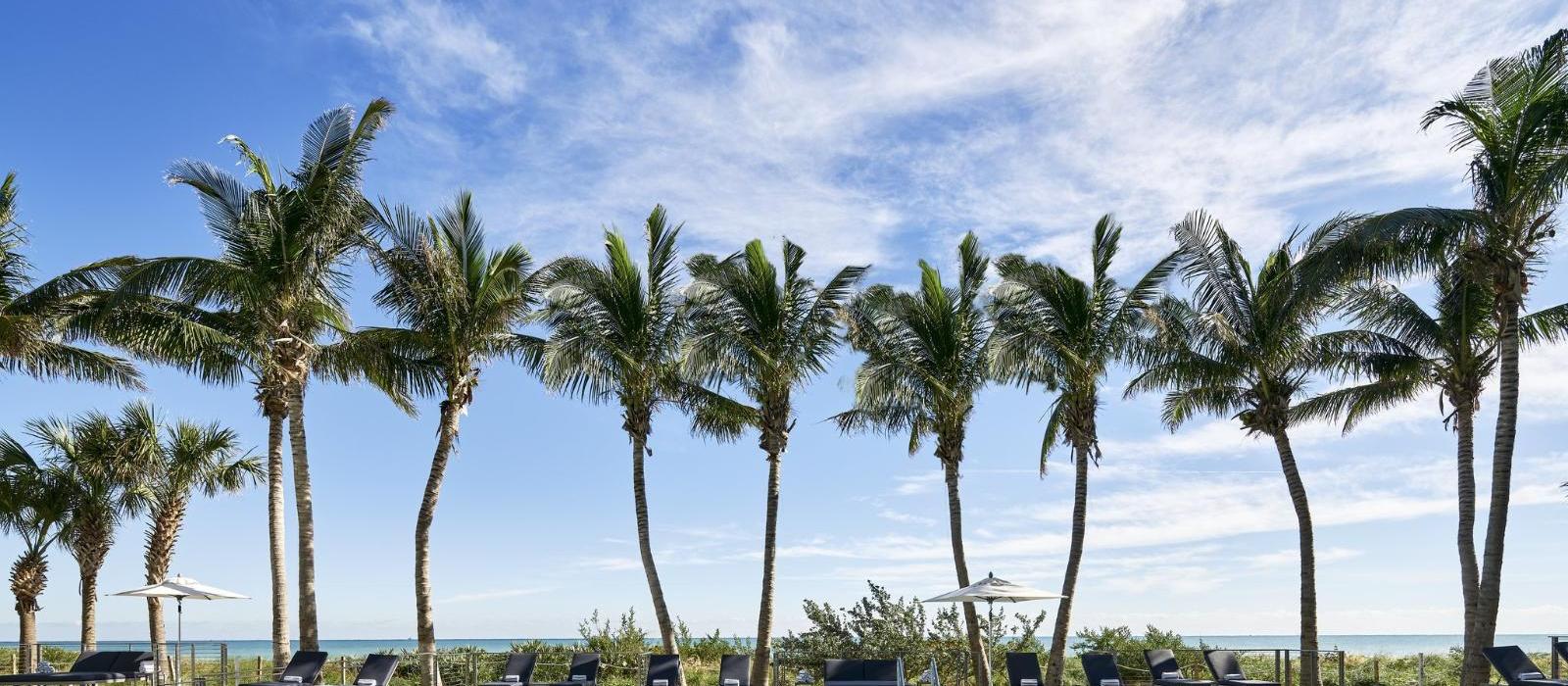 迈阿密钟琴水疗度假酒店(Carillon Miami Wellness Resort) 图片  www.lhw.cn