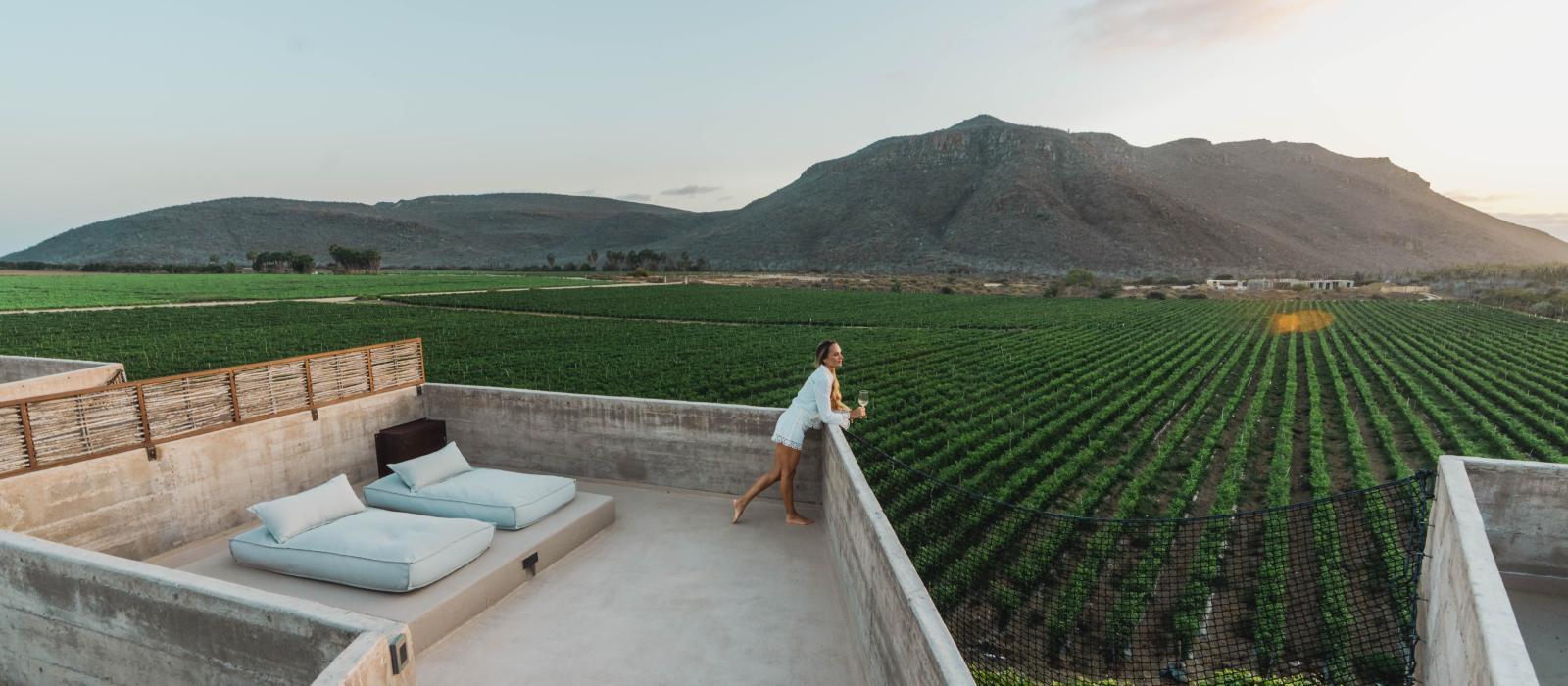 帕瑞朵逸境酒店（Paradero Todos Santos）【 埃尔佩斯卡德罗，墨西哥】 酒店  www.lhw.cn