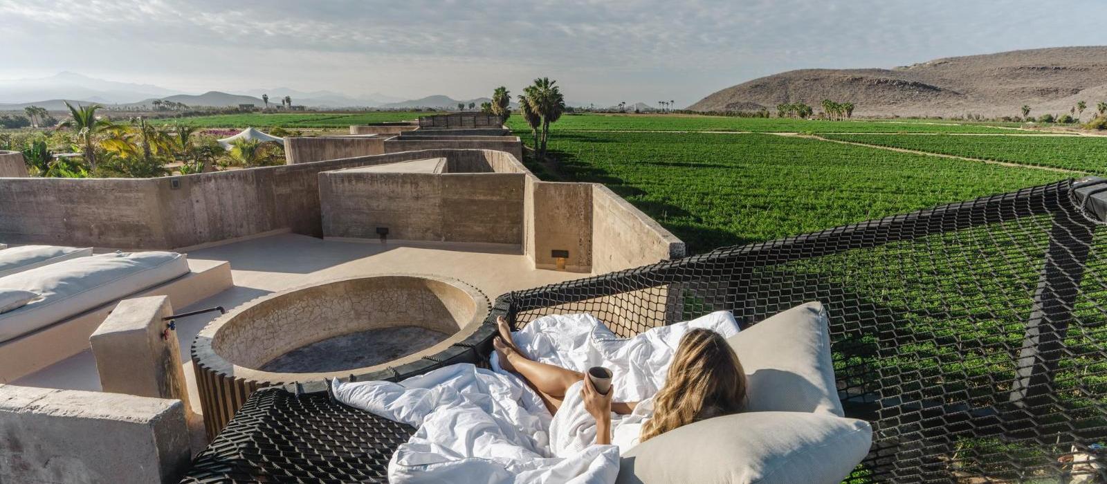 帕瑞朵逸境酒店(Paradero Todos Santos) 图片  www.lhw.cn