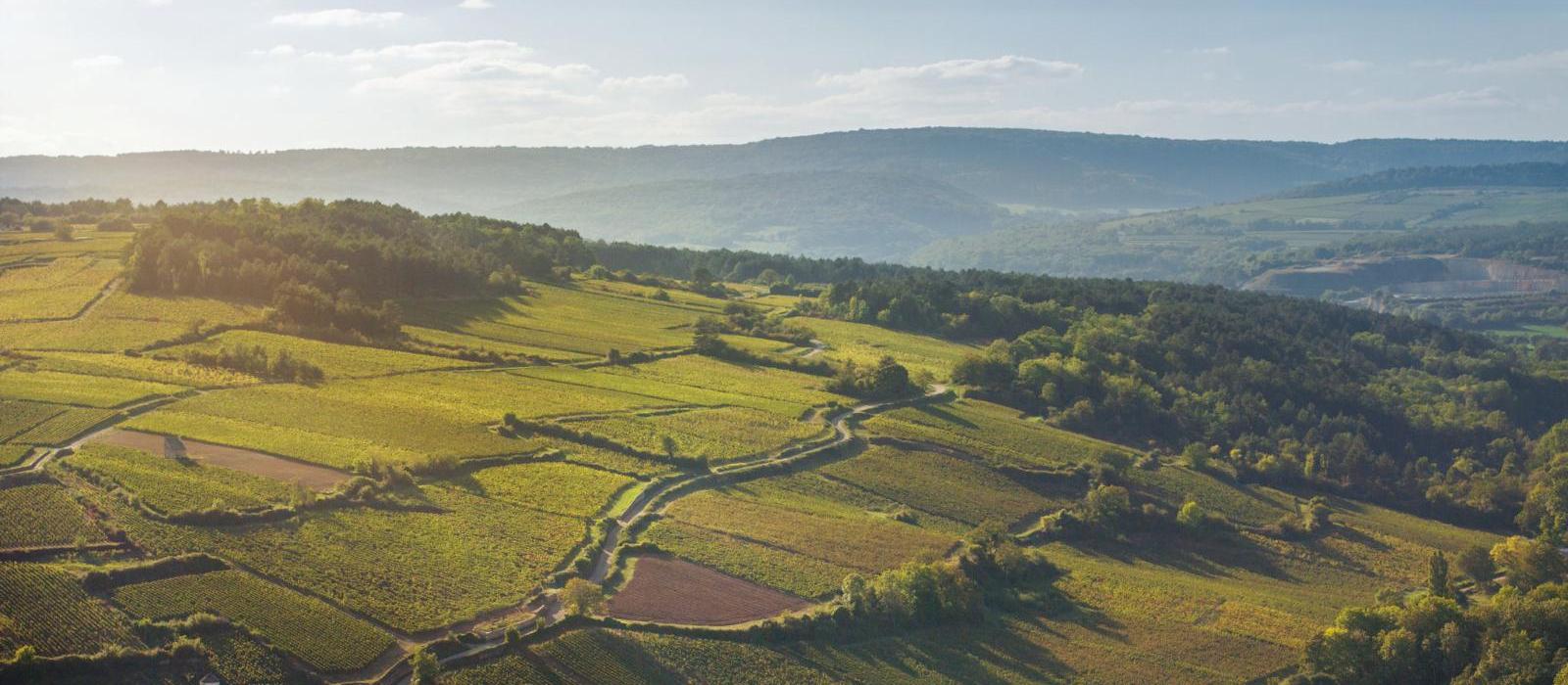 科曼纳酒庄水疗酒店(Château la Commaraine Hotel, Spa & Cuverie) 图片  www.lhw.cn