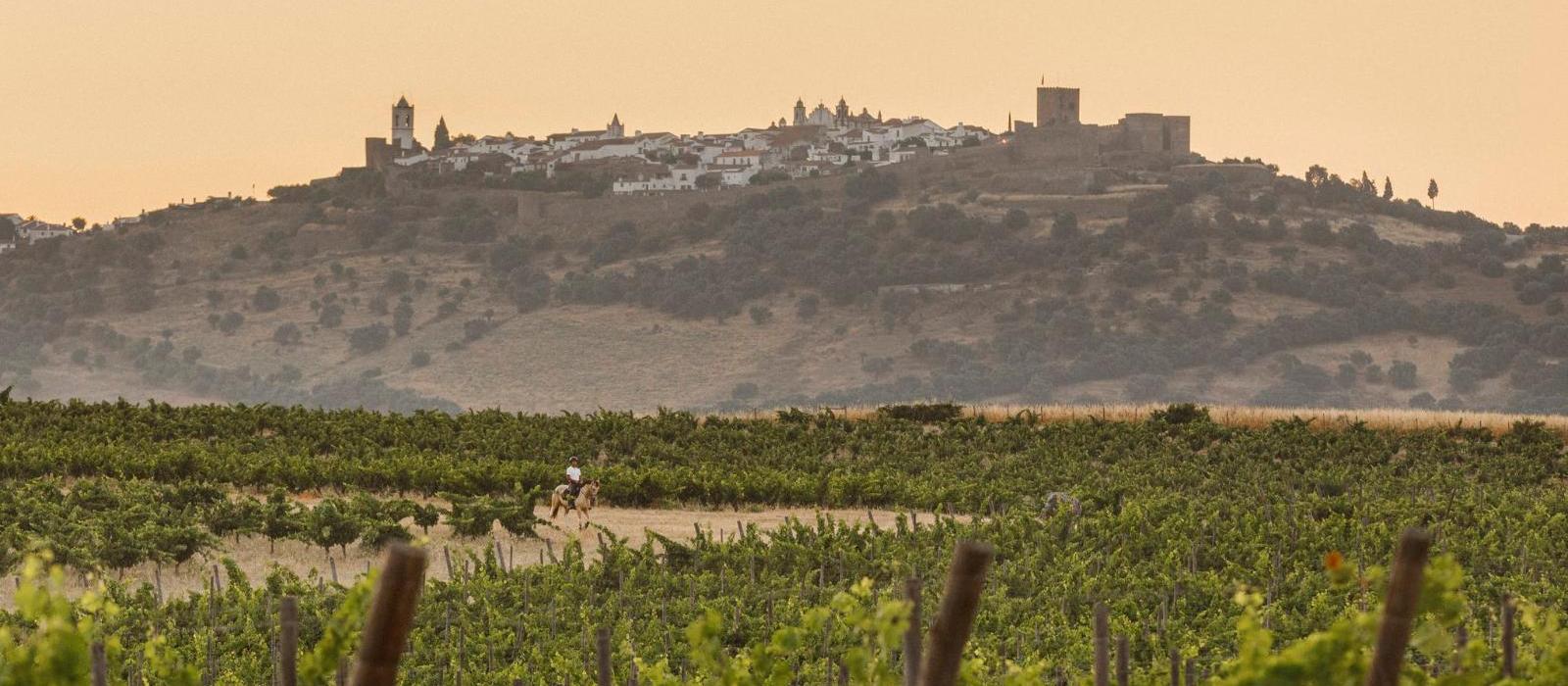 圣罗恩佐德巴洛克酒店(Sao Lourenco do Barrocal) 图片  www.lhw.cn