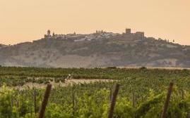 圣罗恩佐德巴洛克酒店(Sao Lourenco do Barrocal)   www.lhw.cn 