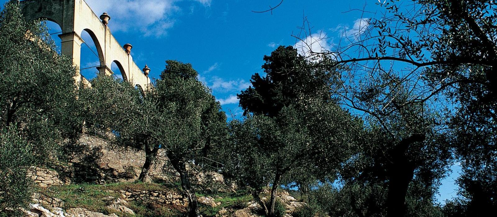 巴尼迪比萨皇宫水疗酒店(Bagni di Pisa Palace and Thermal Spa) 图片  www.lhw.cn