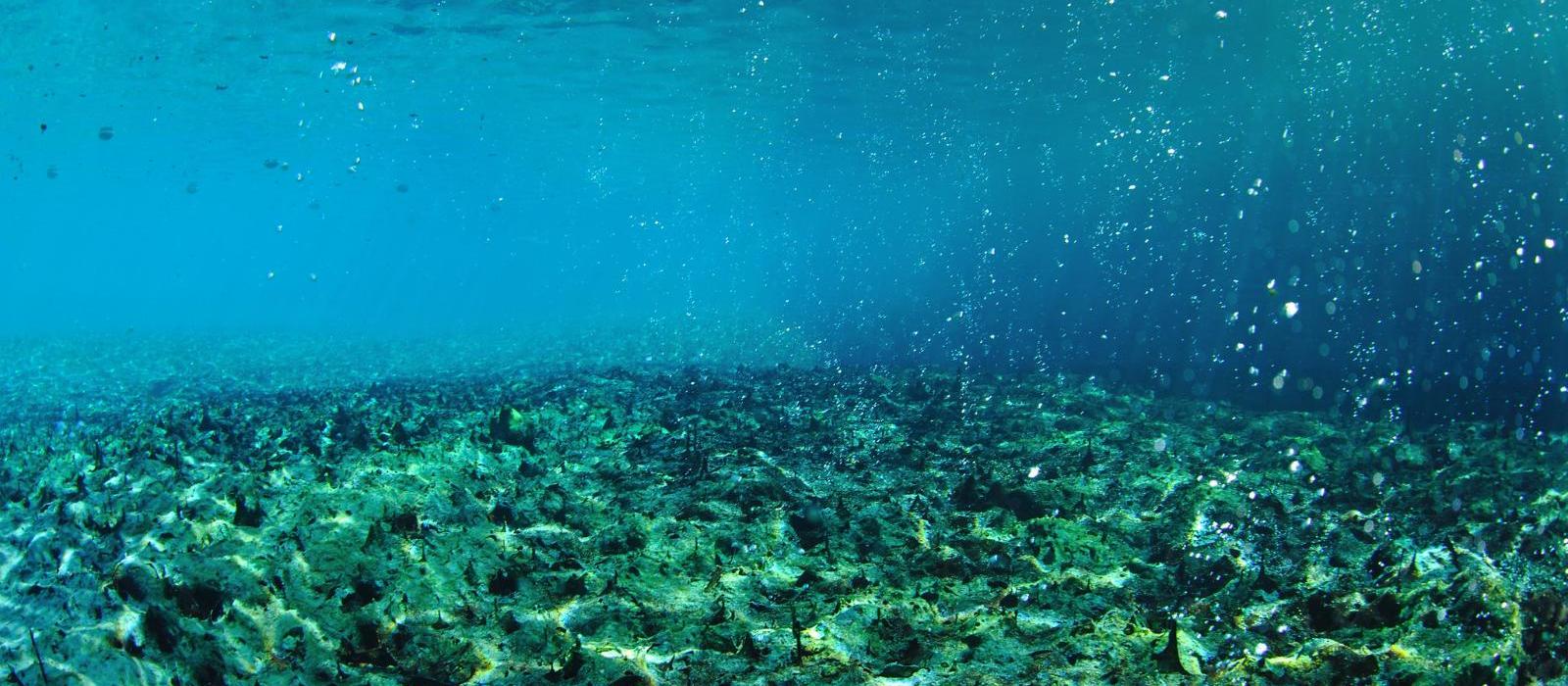 萨图尼亚温泉水疗高尔夫度假酒店(Terme di Saturnia Natural SPA & Golf Resort) 图片  www.lhw.cn