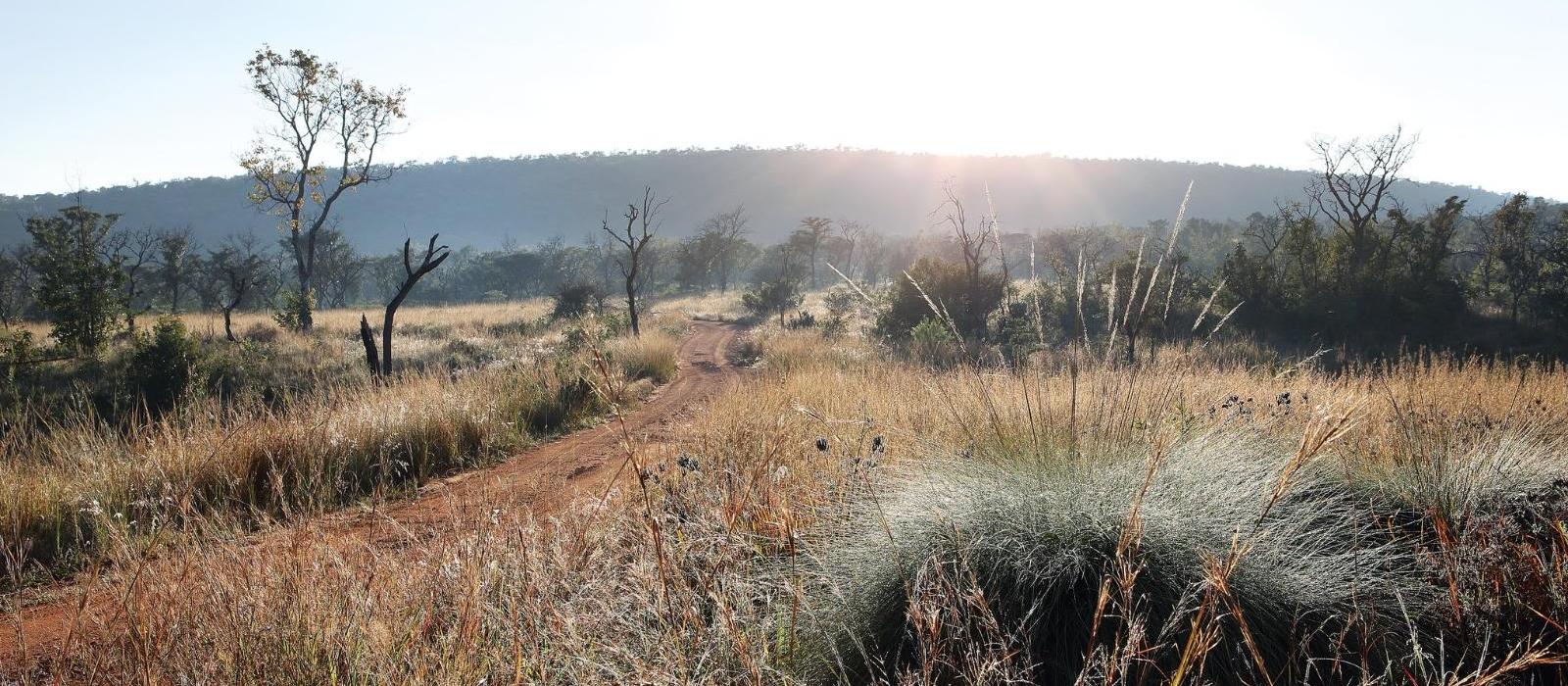 杉巴拉私人狩猎场度假酒店(Shambala Private Game Reserve) 图片  www.lhw.cn