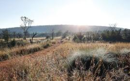 杉巴拉私人狩猎场度假酒店(Shambala Private Game Reserve)   www.lhw.cn 