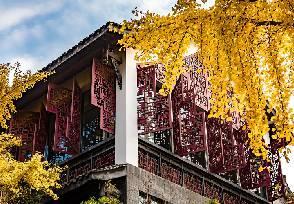 成都观隐颐云台酒店 www.lhw.cn