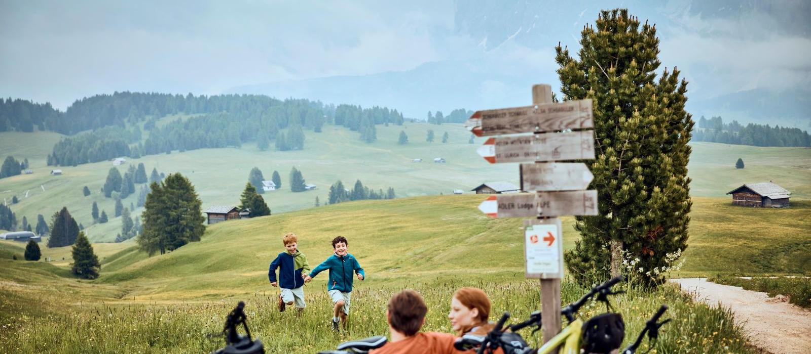 阿尔嫔娜多洛米蒂斯水疗度假酒店(COMO Alpina Dolomites) 图片  www.lhw.cn