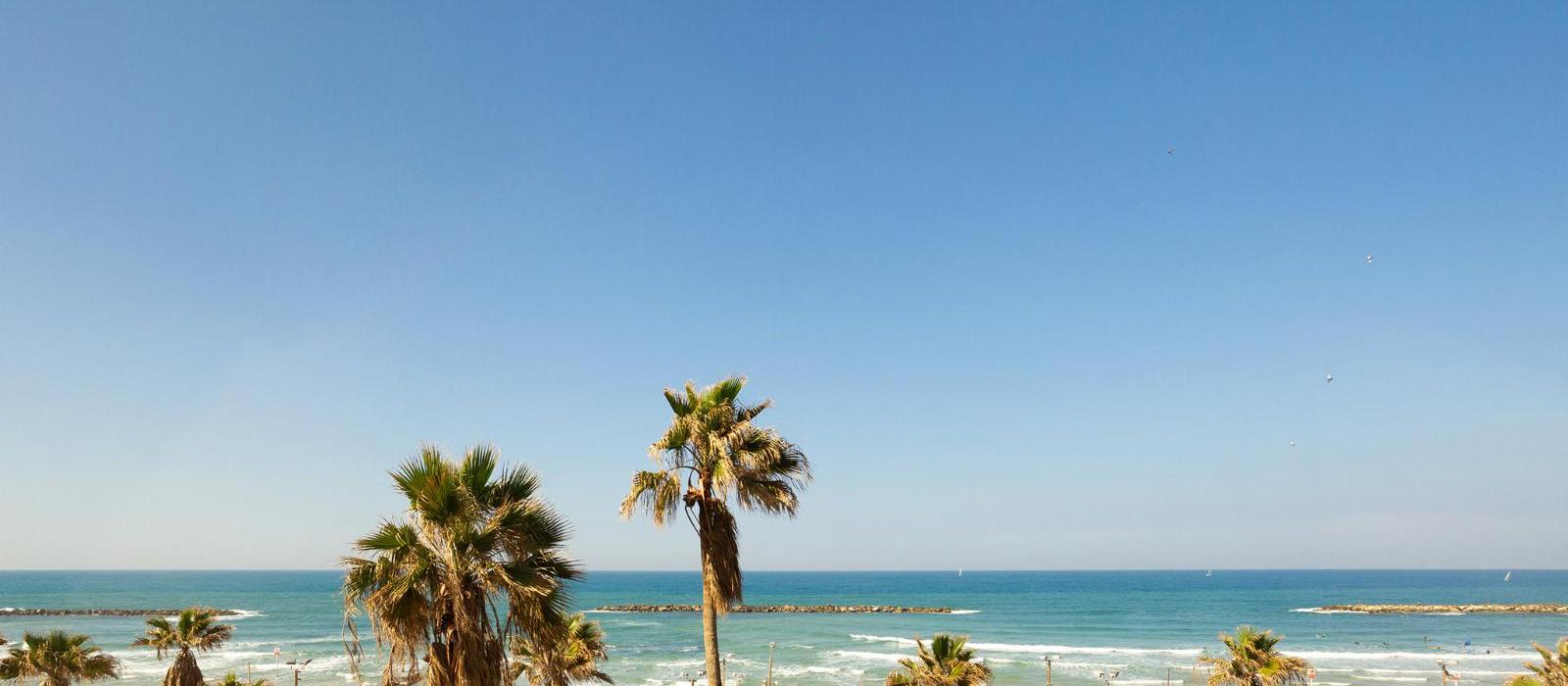 特拉维夫丹酒店(Dan Tel Aviv) 图片  www.lhw.cn