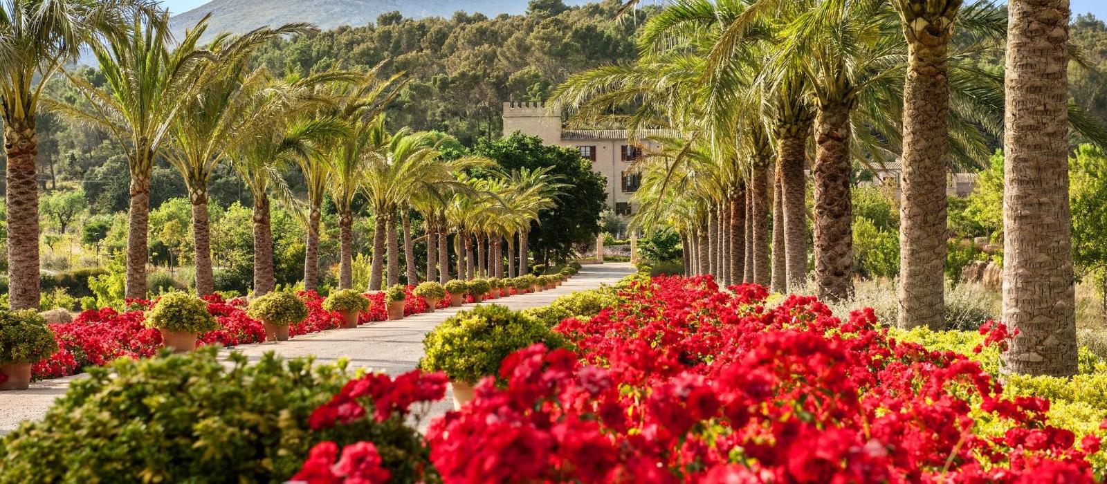 喀斯特利圣克莱瑞大酒店(Castell Son Claret) 图片  www.lhw.cn