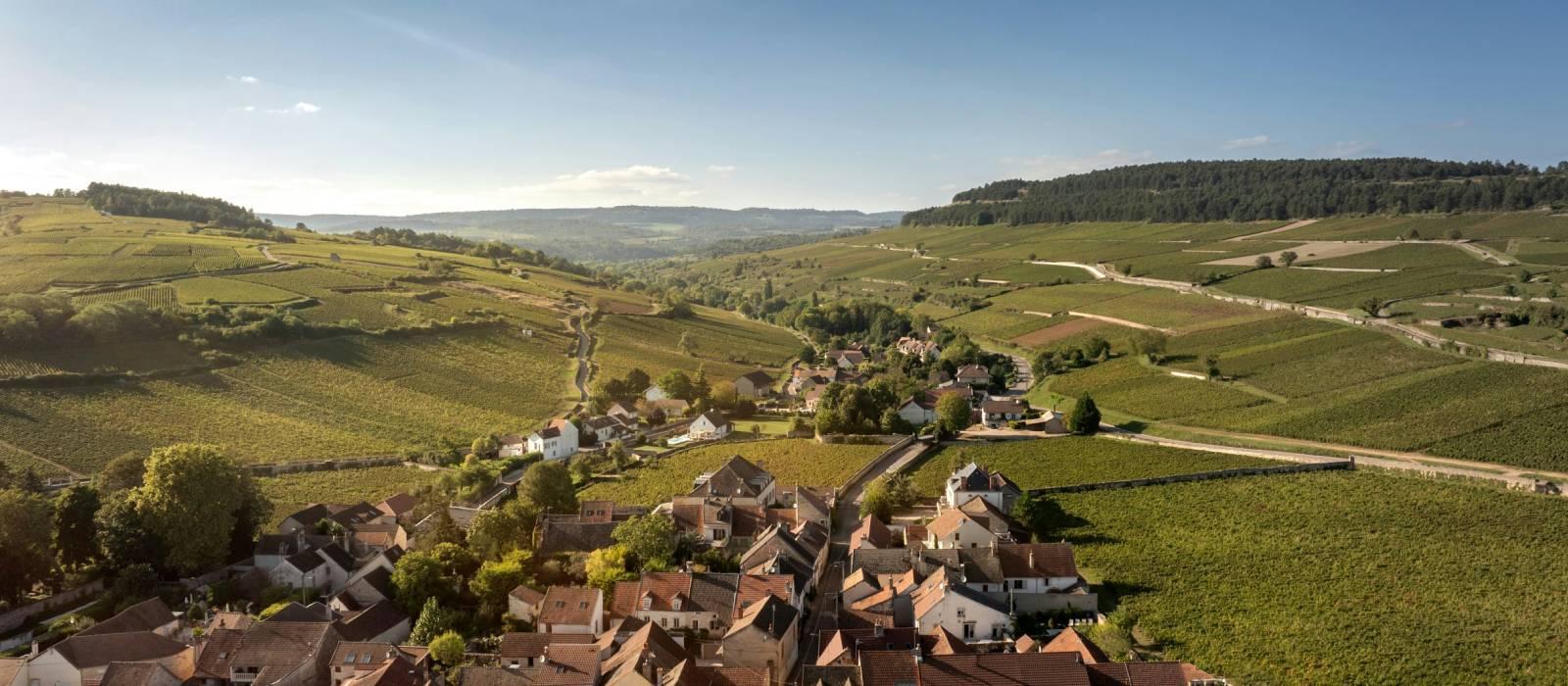 科曼纳酒庄水疗酒店（Château la Commaraine Hotel, Spa & Cuverie）【 波尔马 （勃艮第），法国】 酒店  www.lhw.cn