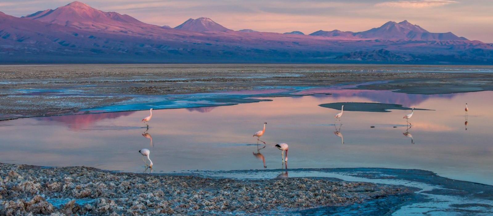 纳雅拉沙堡酒店(Nayara Alto Atacama) 图片  www.lhw.cn