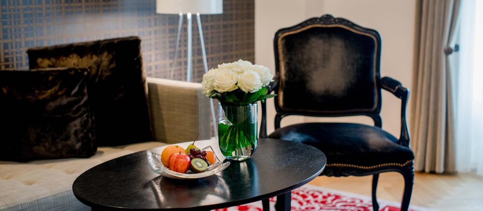 伯尔尼玺威豪酒店(Hotel Schweizerhof Bern & THE SPA) 图片  www.lhw.cn