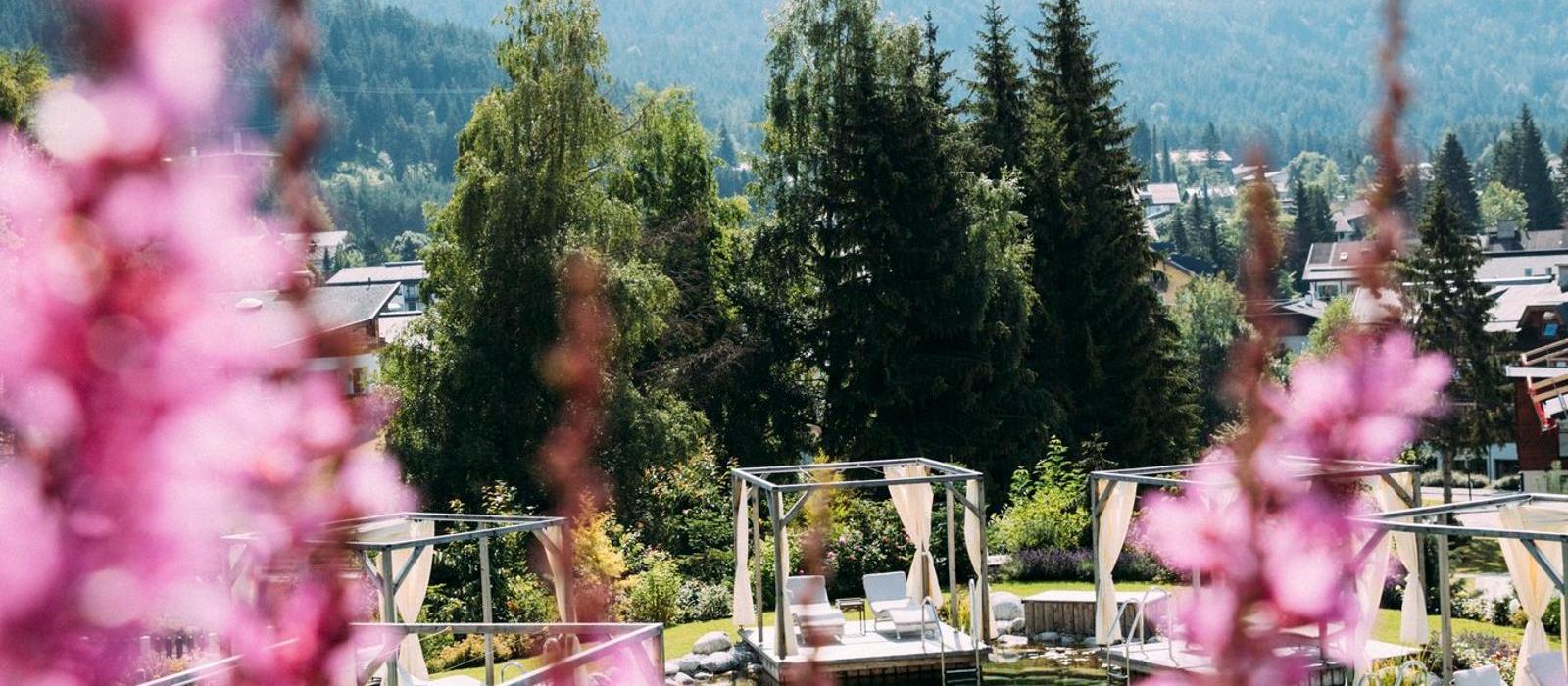 塞菲尔德萨赫阿尔卑斯度假酒店(Alpin Resort Sacher Seefeld - Tirol) 图片  www.lhw.cn