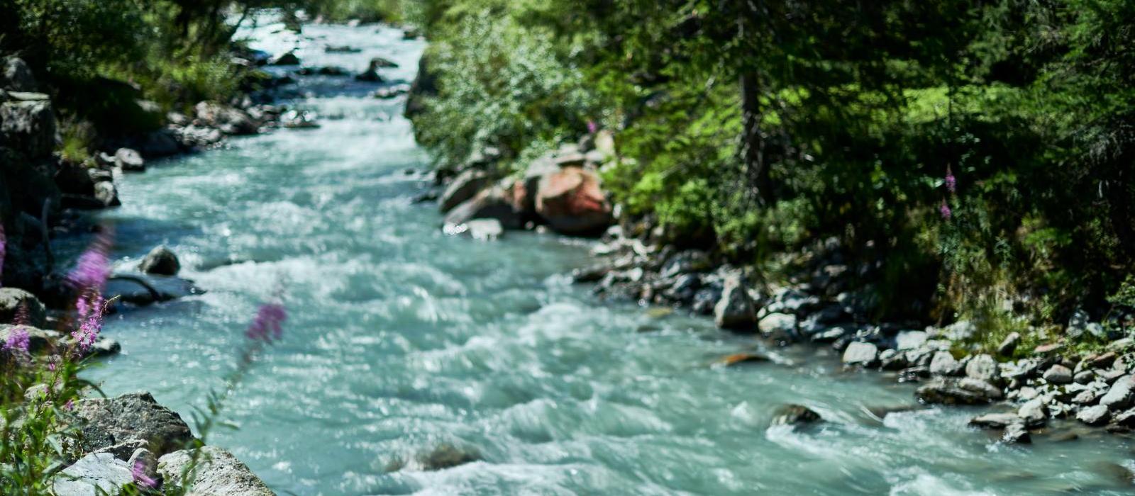魅峰轩居度假酒店(Le Massif Hotel & Lodge, Courmayeur) 图片  www.lhw.cn