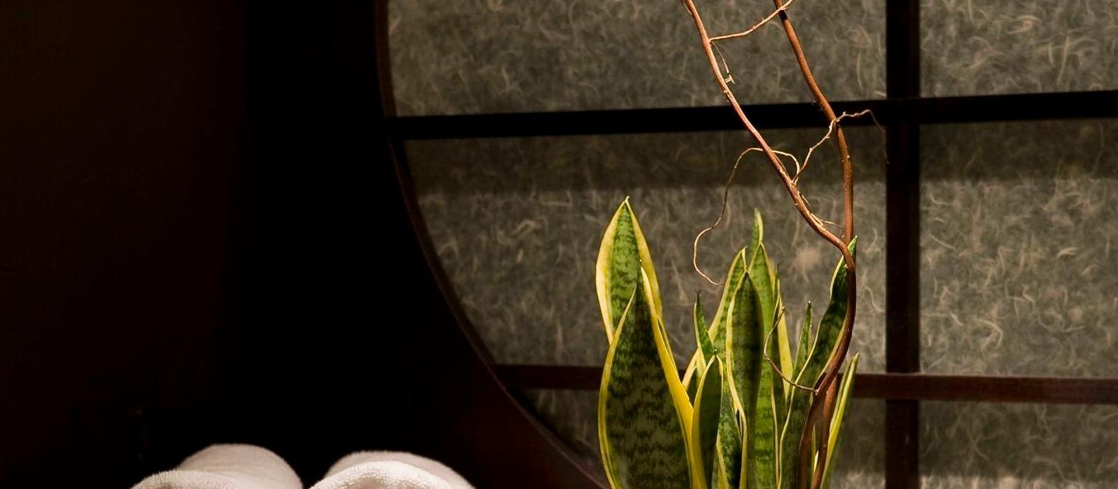 圣雷莫皇家大酒店(Royal Hotel Sanremo) 图片  www.lhw.cn