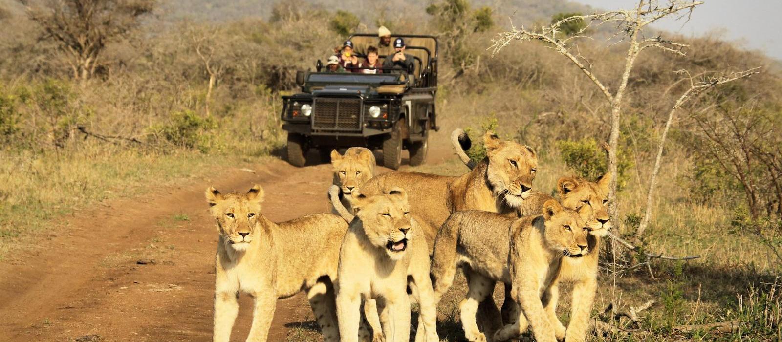 泰达自然保护区度假酒店(Thanda Safari) 图片  www.lhw.cn