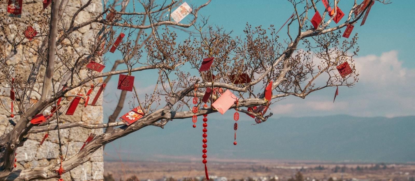 物与岚 . 设计收藏酒店（Hylla Vintage Hotel）【 丽江，中国】 酒店  www.lhw.cn